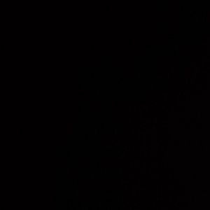 Meet your Posher, Pablo